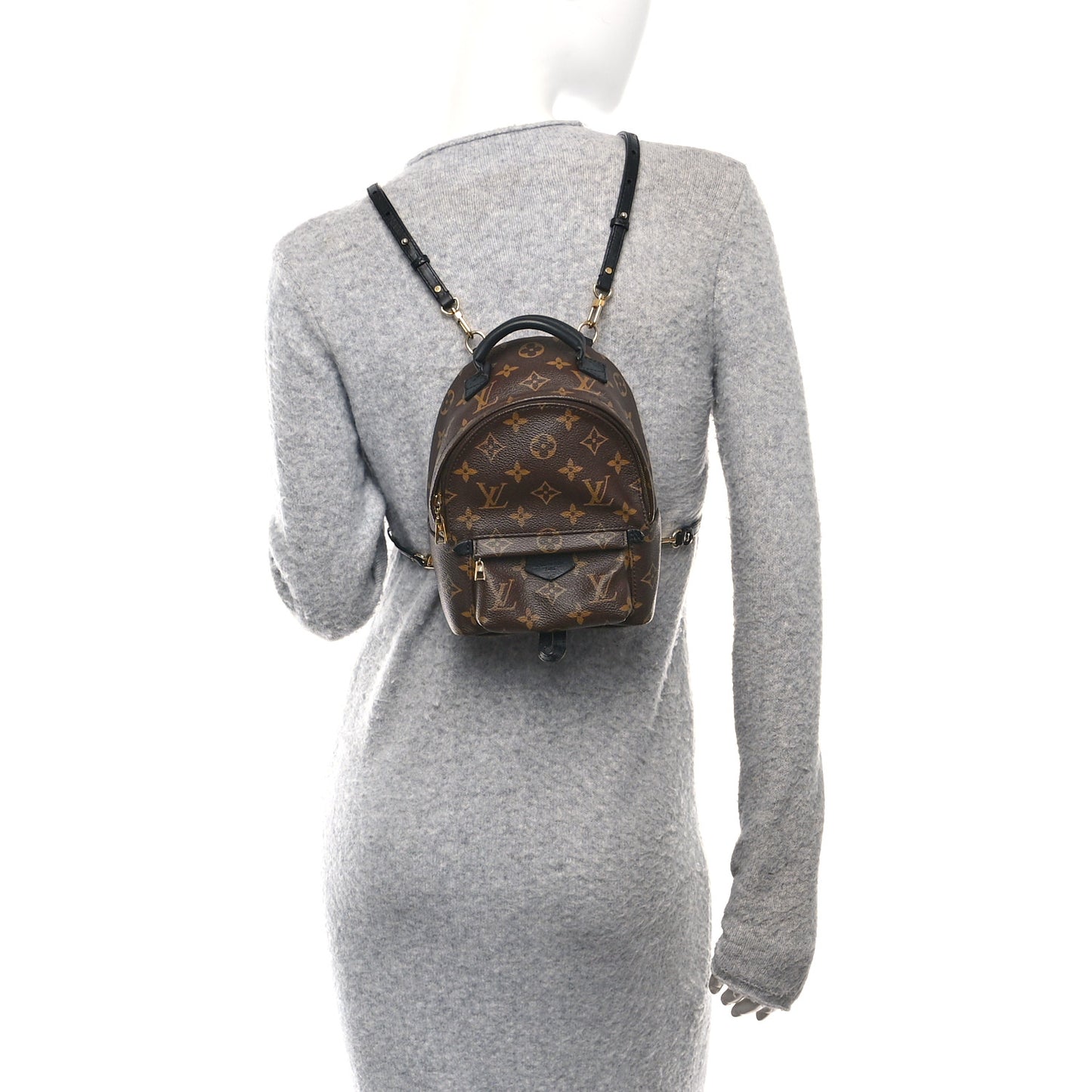 Monogram Palm Springs Backpack Mini