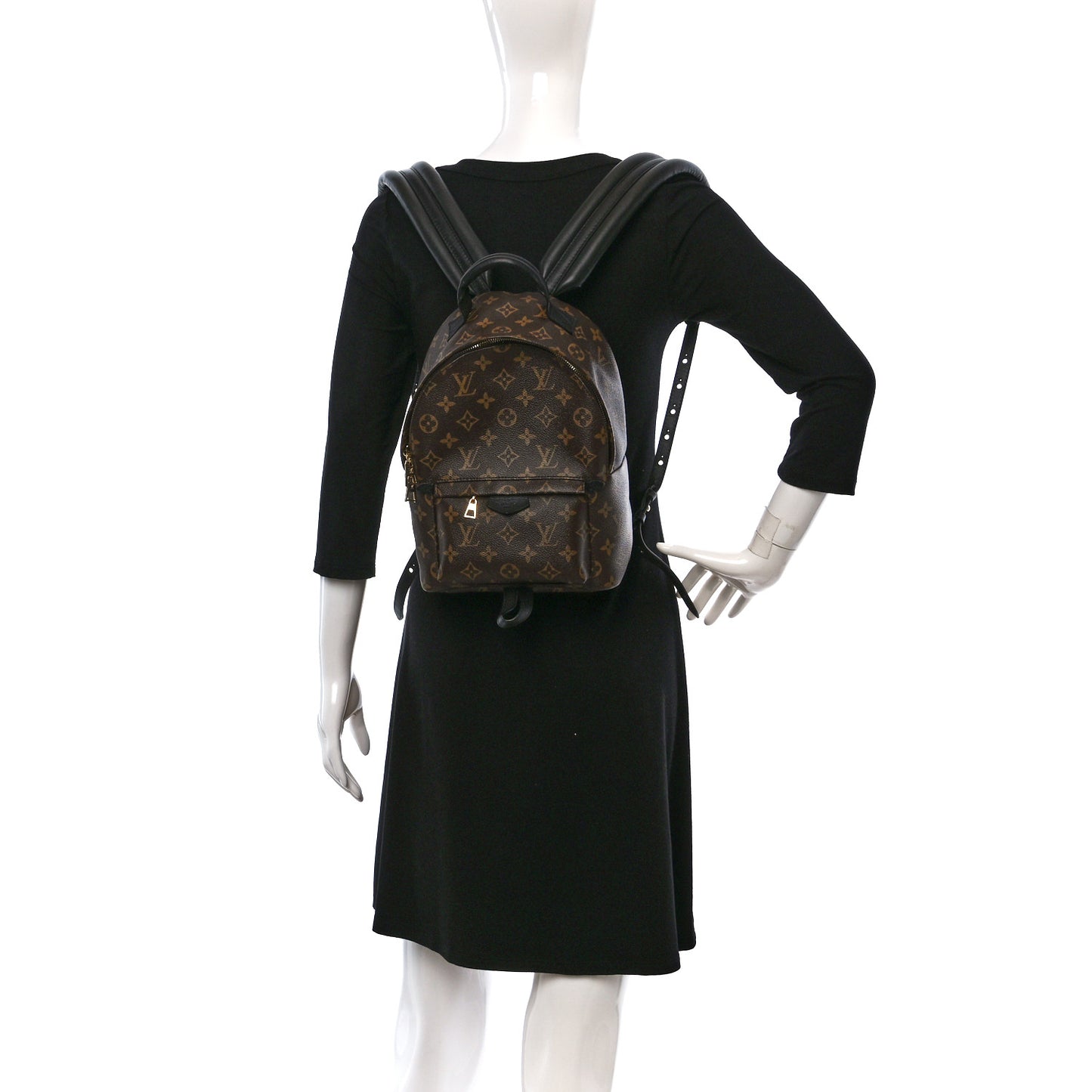 Monogram Palm Springs Backpack PM