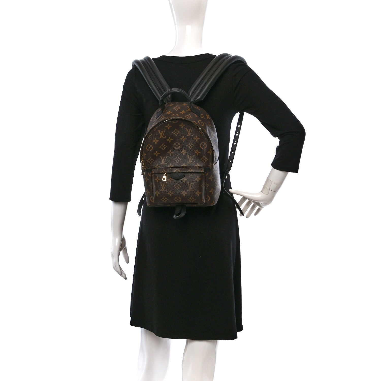 Louis Vuitton Monogram Palm Springs Backpack PM 2 of 10