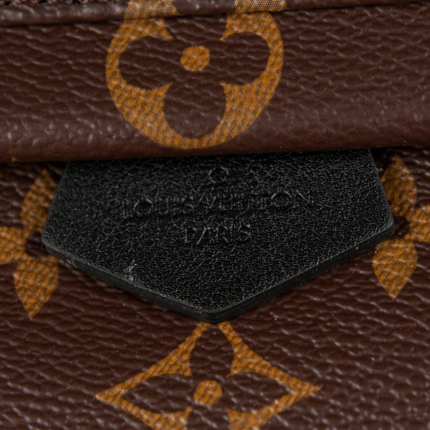 Monogram World Tour Palm Springs Backpack Mini