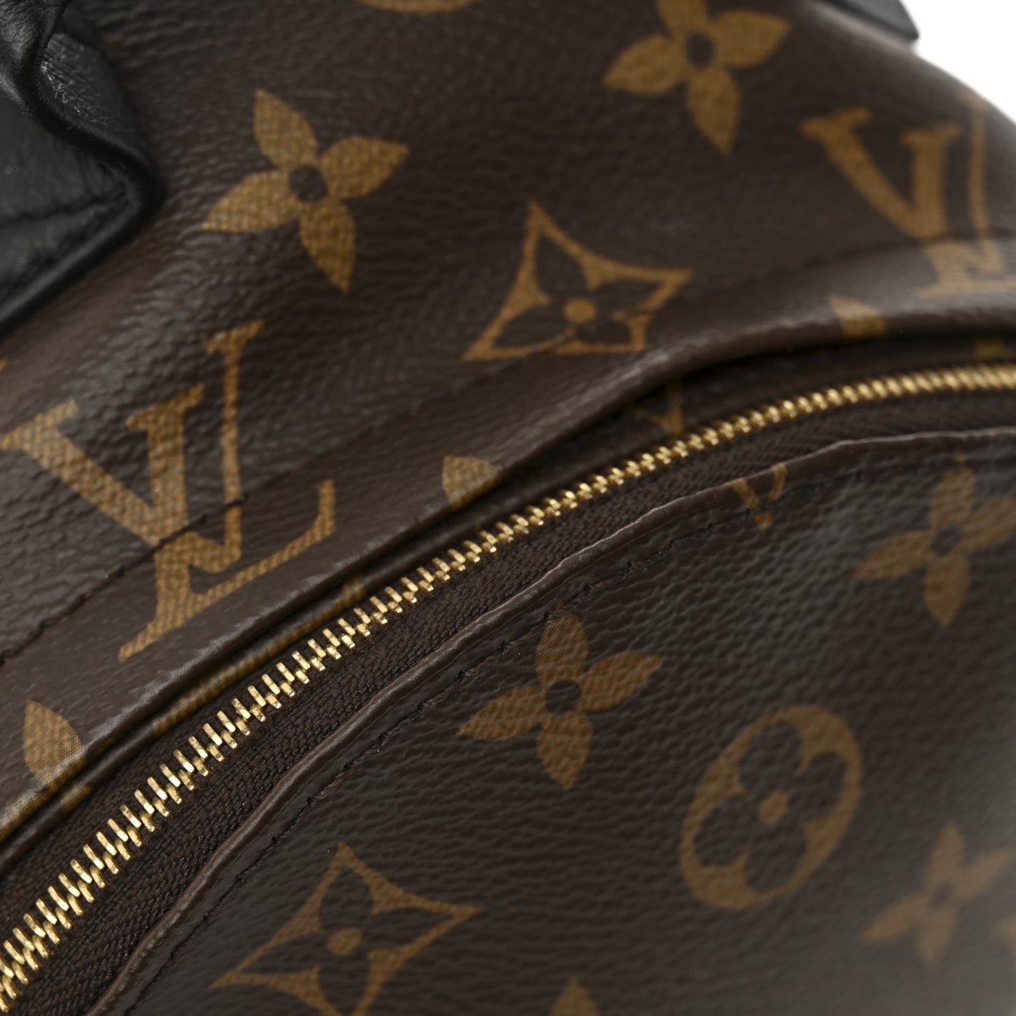 Monogram Palm Springs Backpack Mini