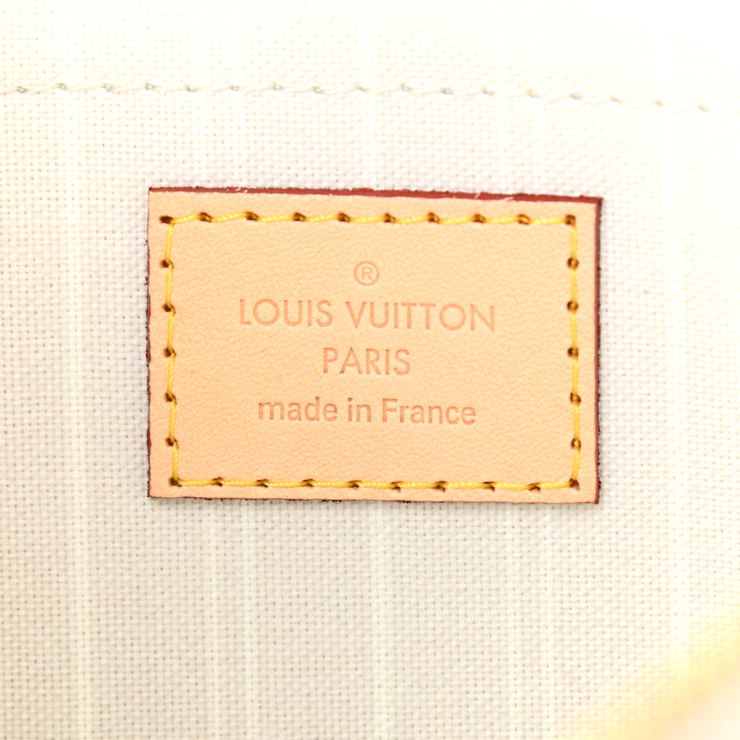 Monogram By The Pool Neverfull MM Pochette Brume