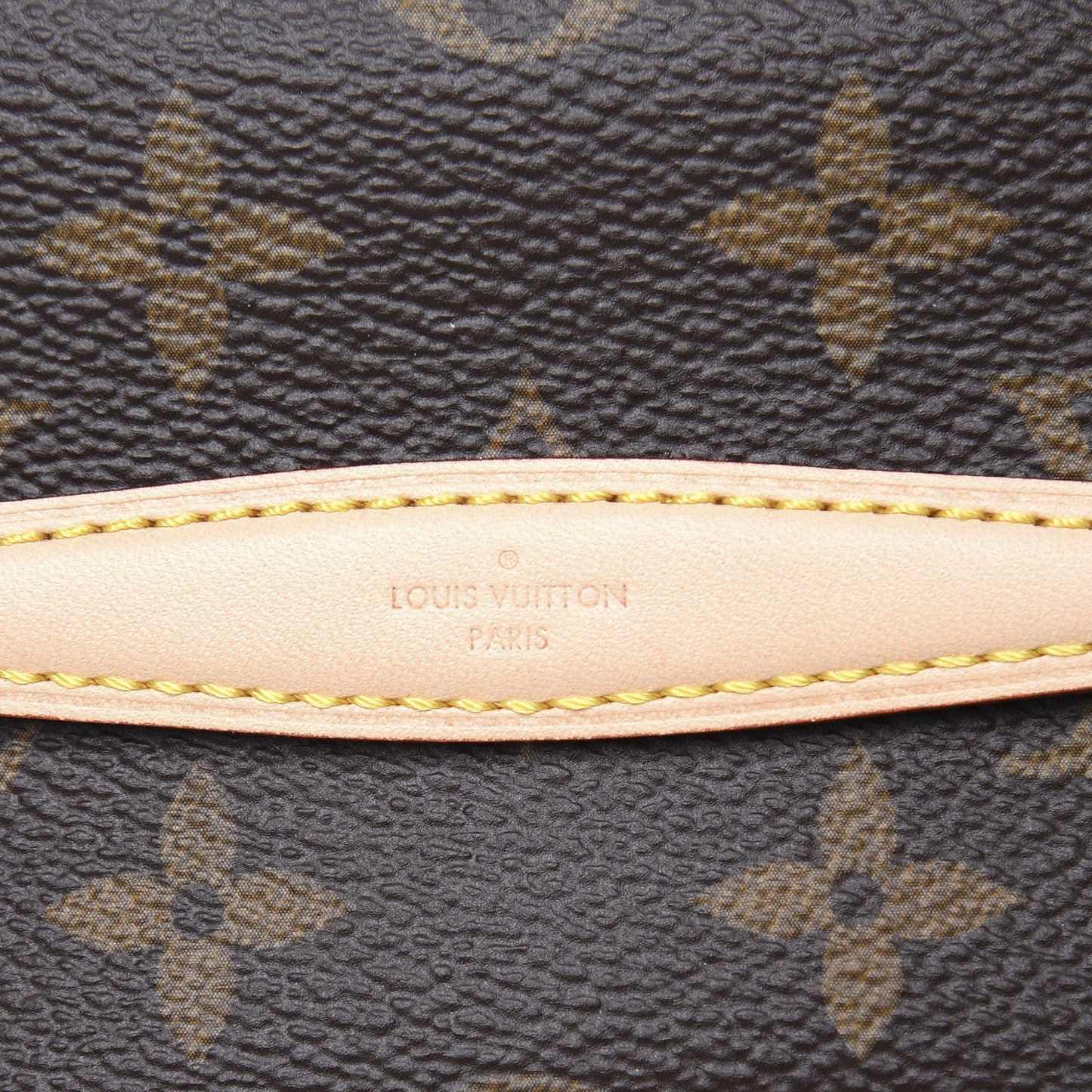 Monogram Nano Nice