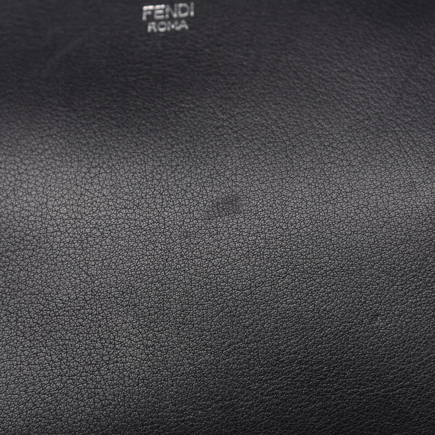 Fendi Vitello Dolce Flowerland Croc Tail Medium By The Way Boston Bag Black 7 of 9