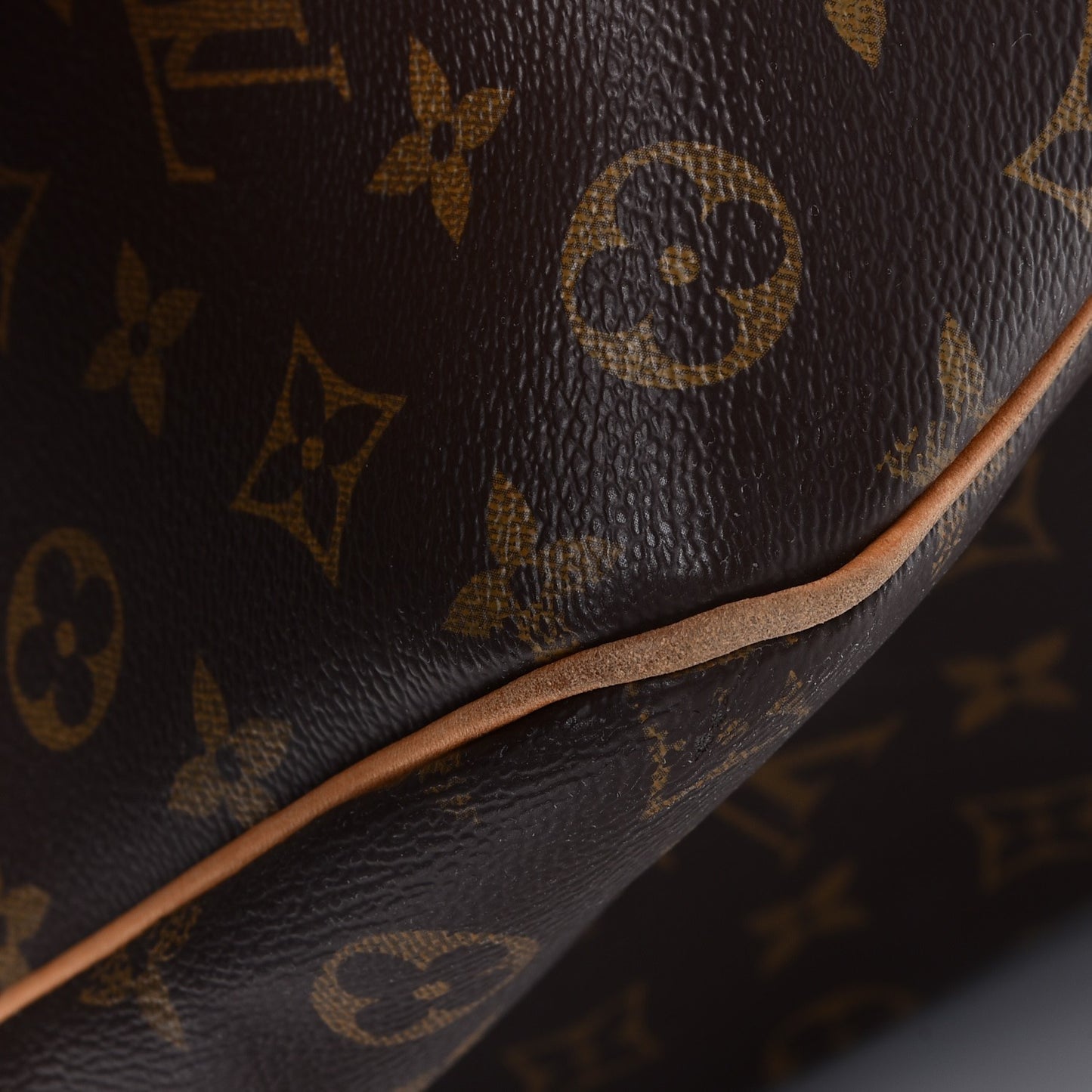 Monogram Delightful PM