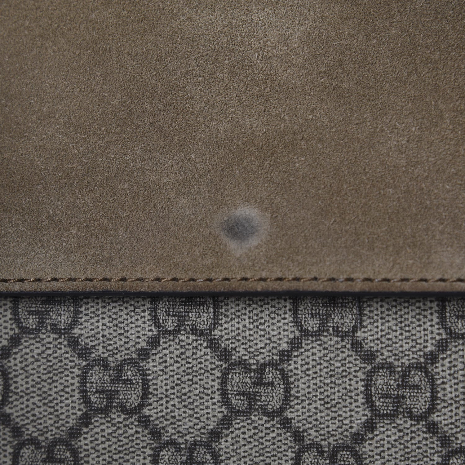Gucci GG Supreme Monogram Small Dionysus Shoulder Bag Taupe 9 of 10