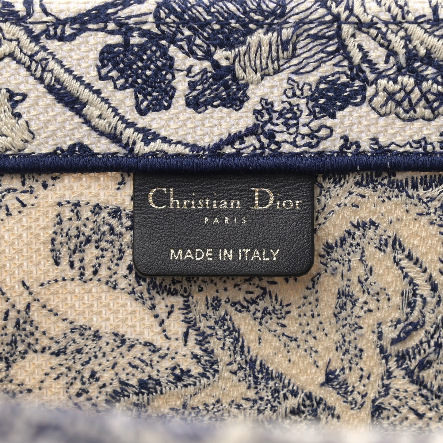 Canvas Embroidered Large Dioriviera Toile De Jouy Book Tote Blue