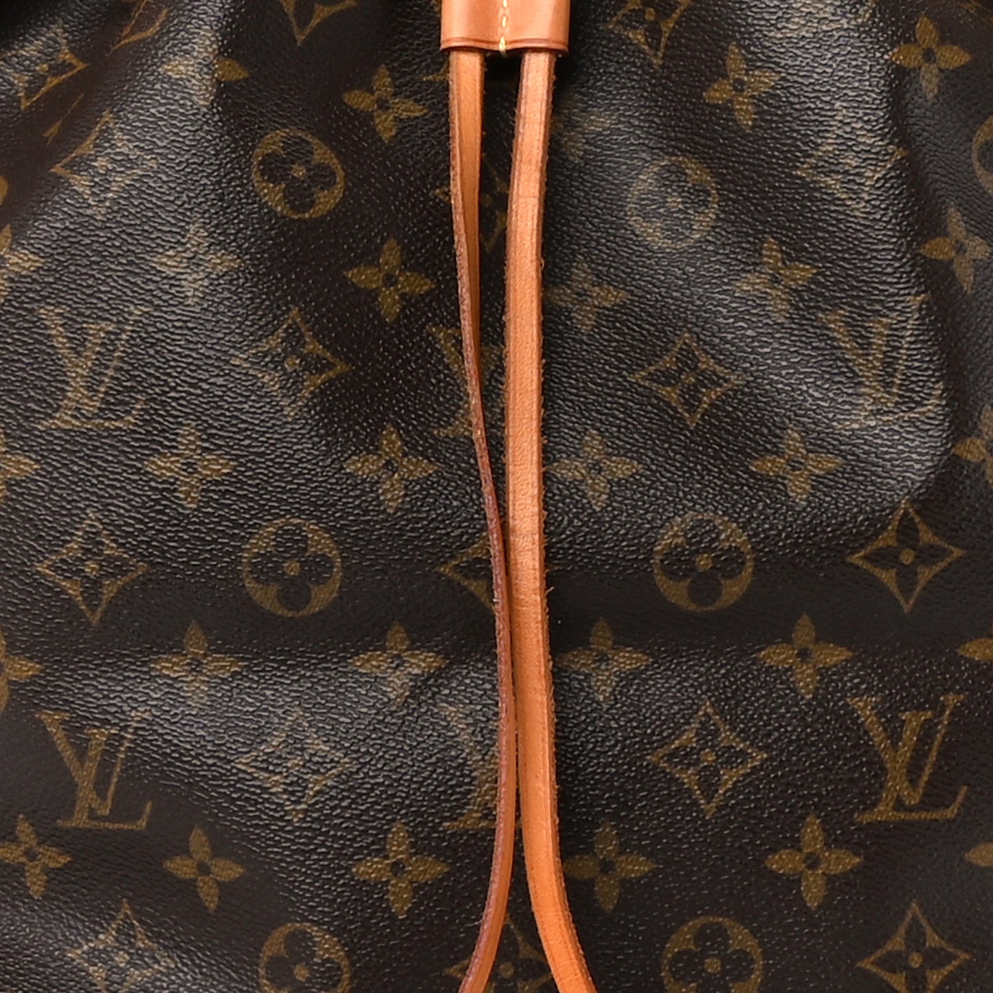 Monogram Petit Noe