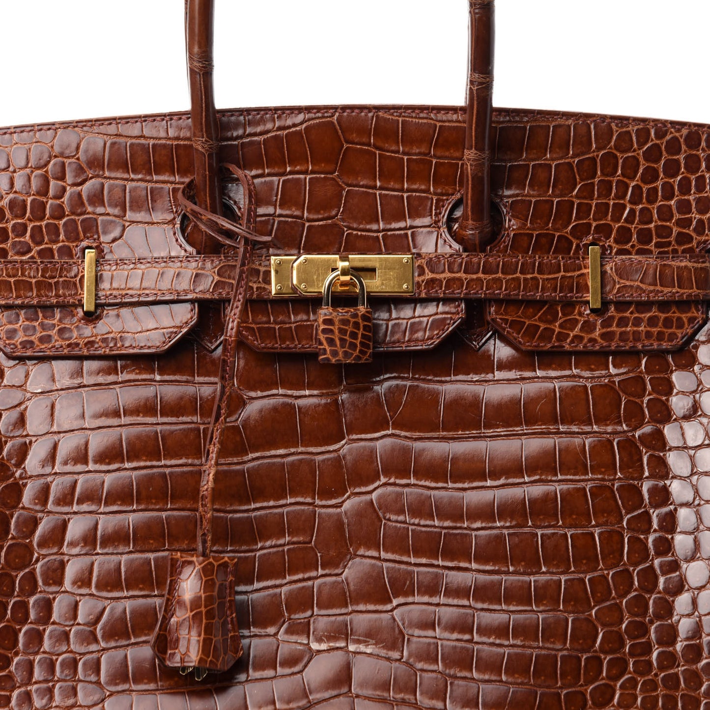 Shiny Porosus Crocodile Birkin 35 Etrusque