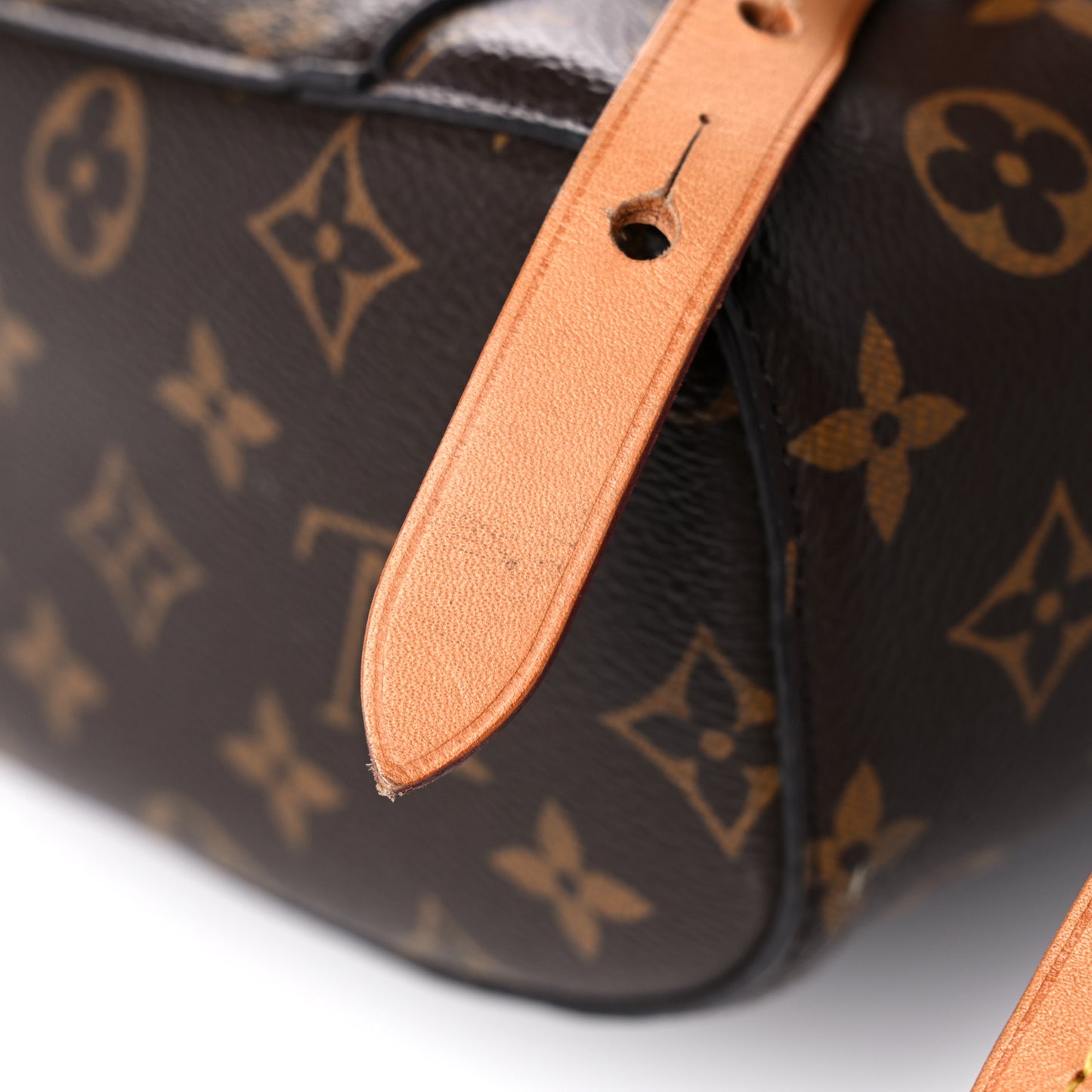 Monogram Montsouris NM Backpack