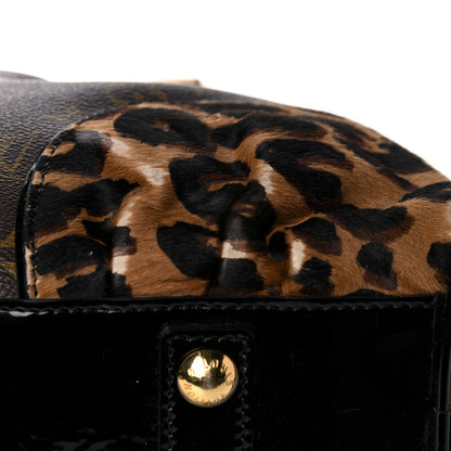 Louis Vuitton Monogram Leopard Adele 22 of 26