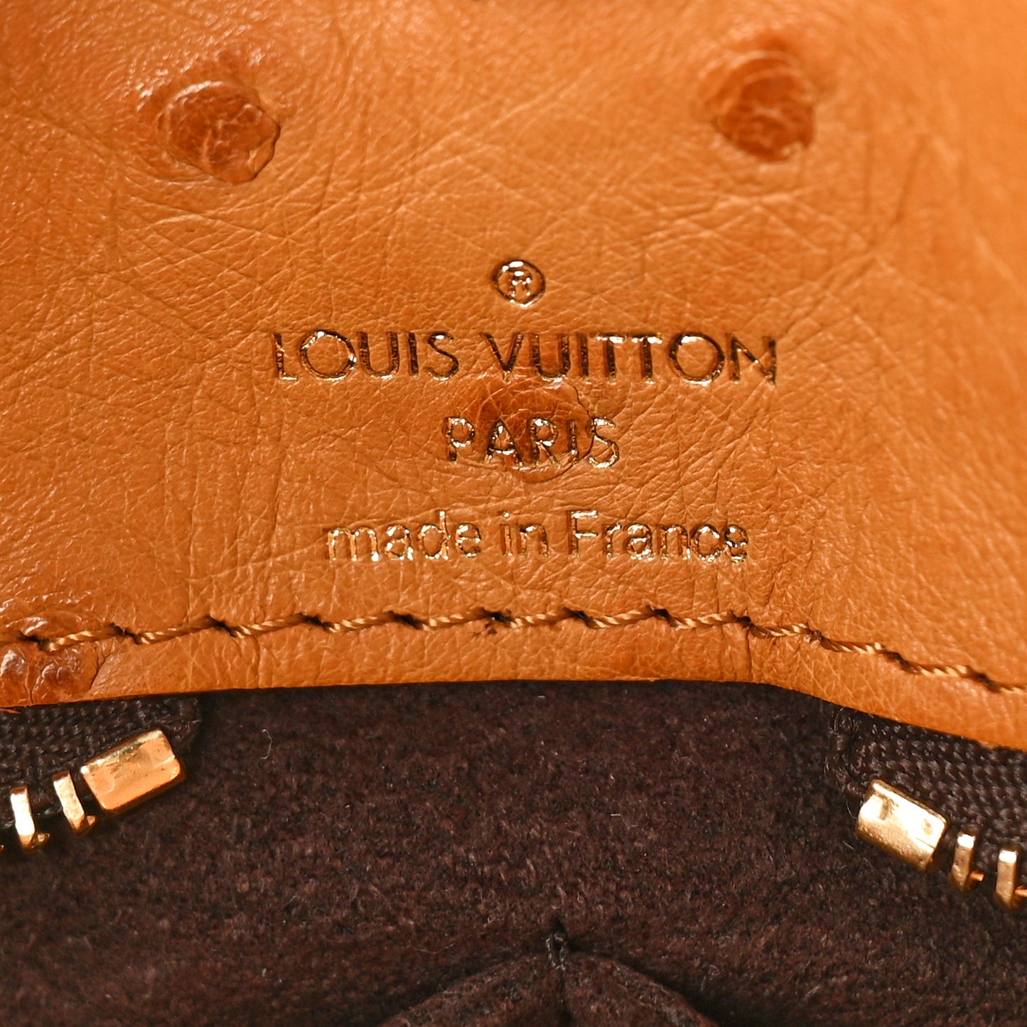 Monogram Etoile Exotique MM Blue