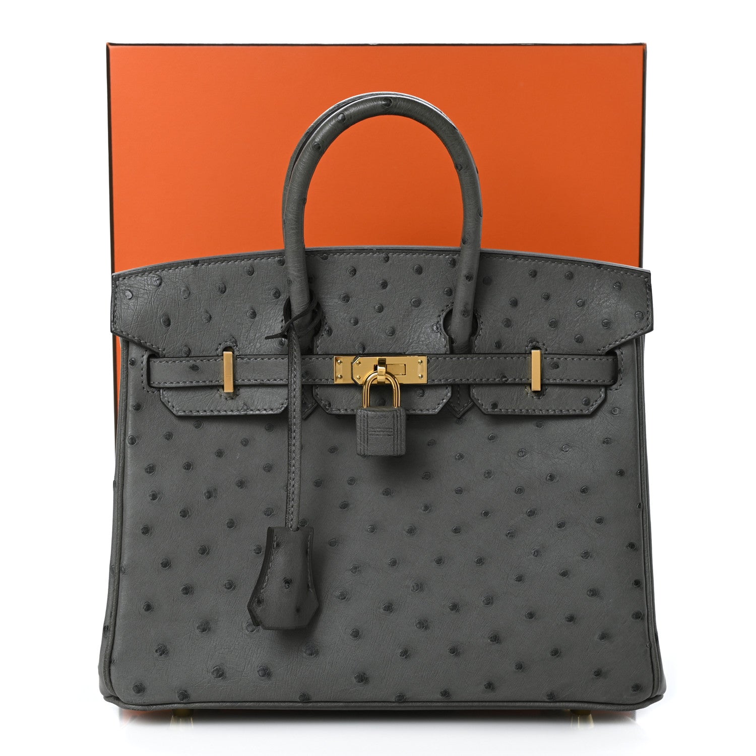 Hermes Ostrich Birkin 25 Gris Meyer 9 of 9