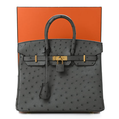 Hermes Ostrich Birkin 25 Gris Meyer 9 of 9
