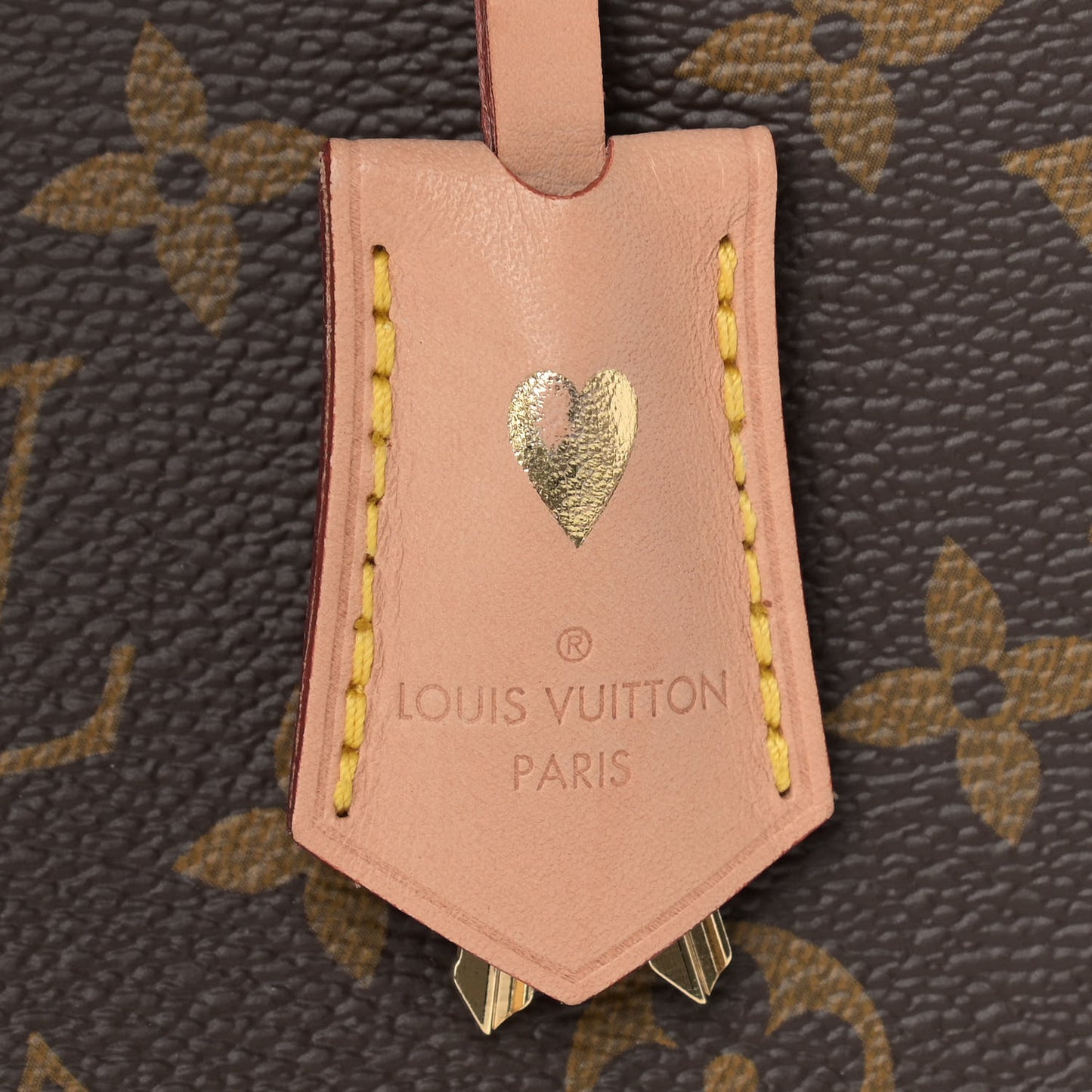Monogram Montaigne GM