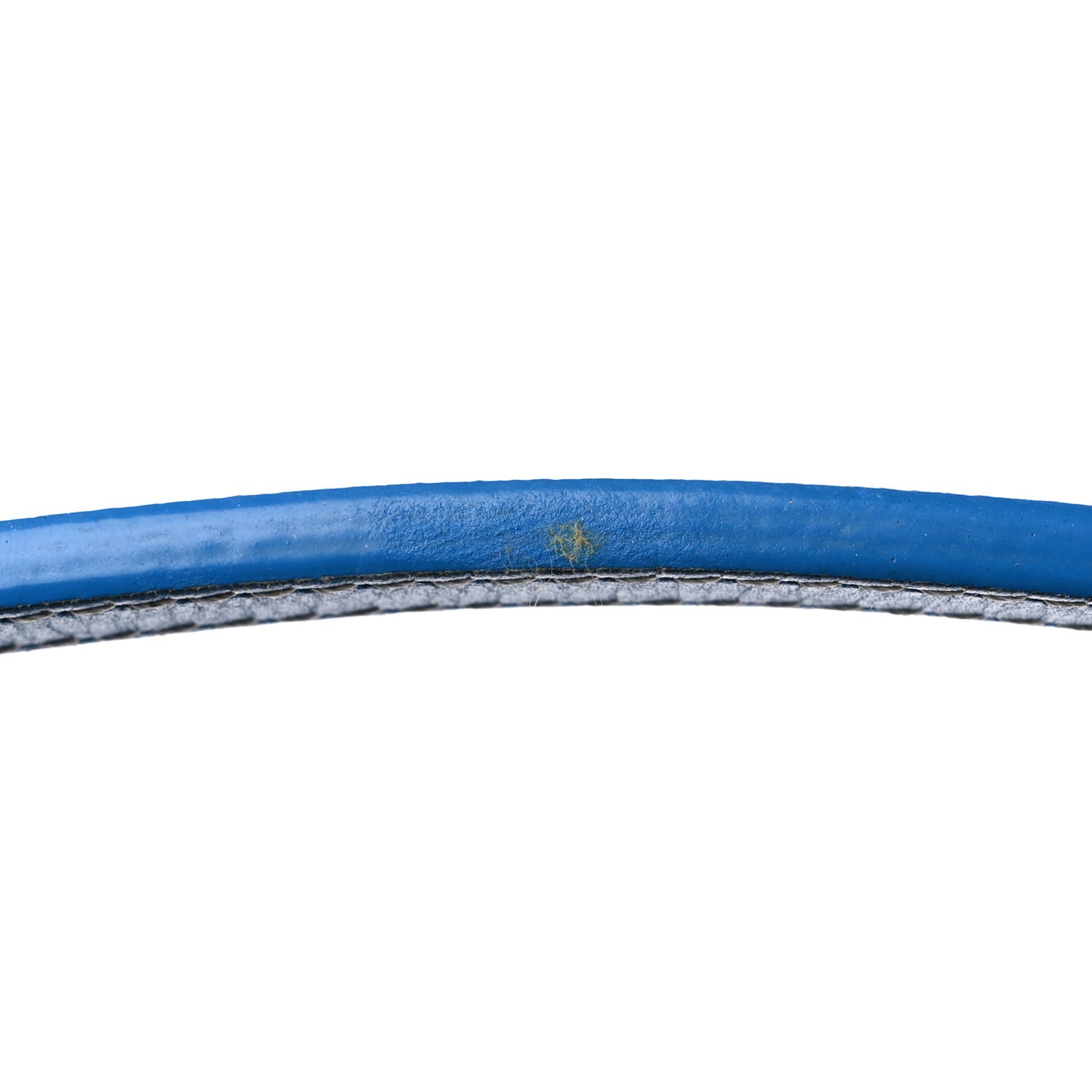 Goyardine Saint Louis GM Sky Blue