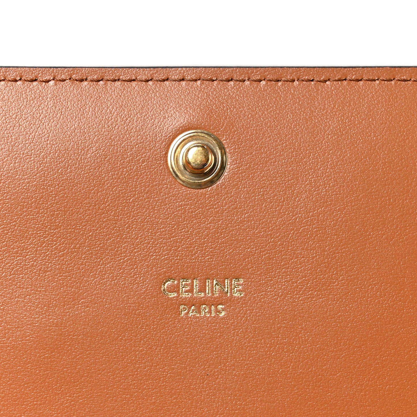 Triomphe Canvas Multipochette Tan