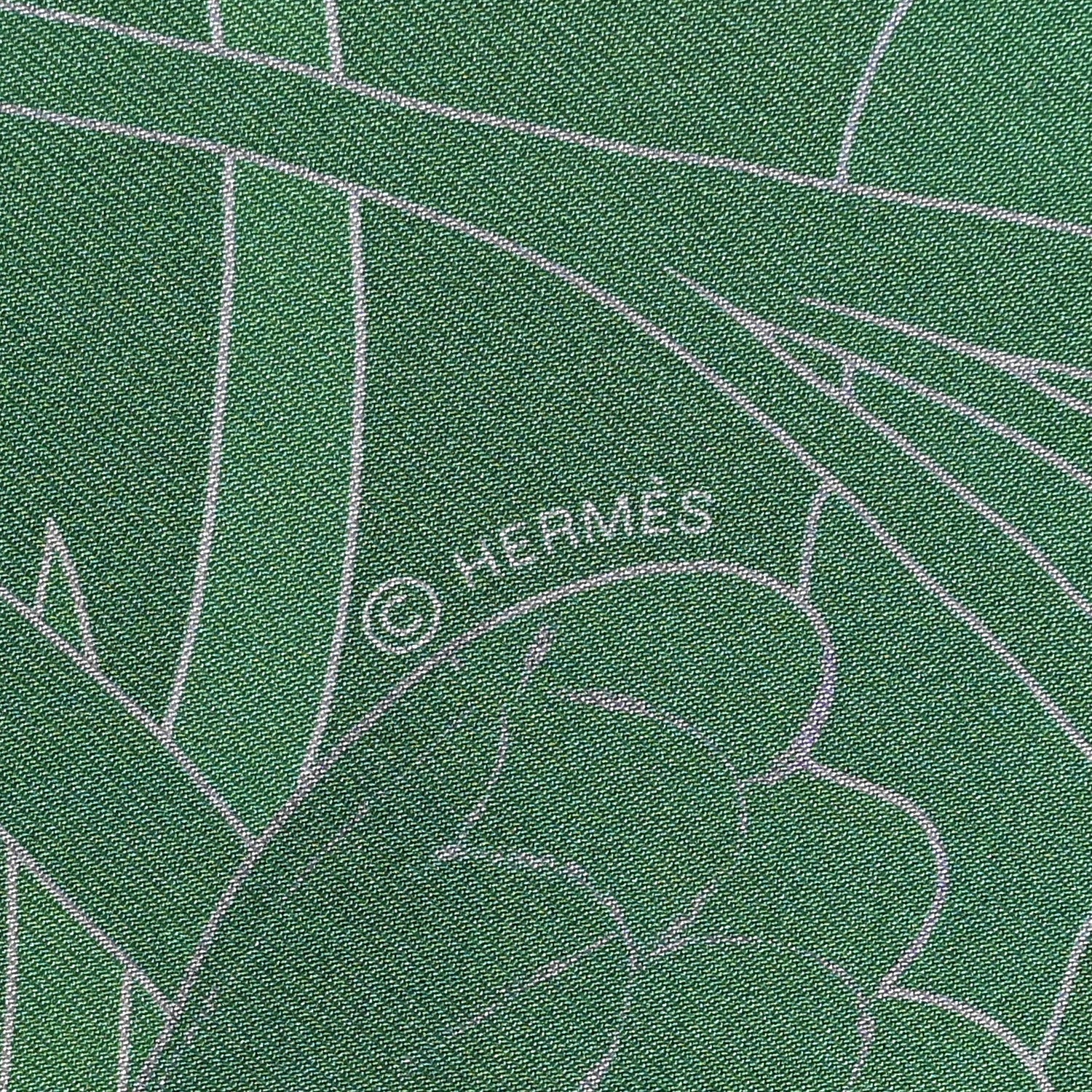 Hermes Silk Carre Double Face Brandebourgs Scarf 90 Vert Poudre Bleu Clair 5 of 6