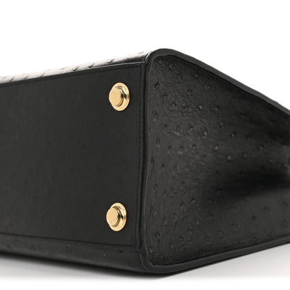 Louis Vuitton Ostrich City Steamer PM Black 10 of 12