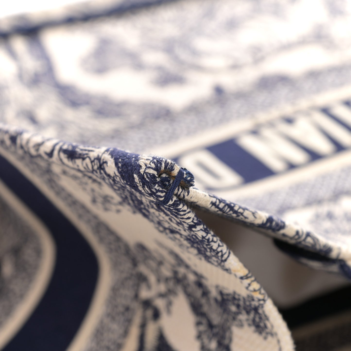 Canvas Embroidered Medium Dioriviera Toile De Jouy Book Tote Blue