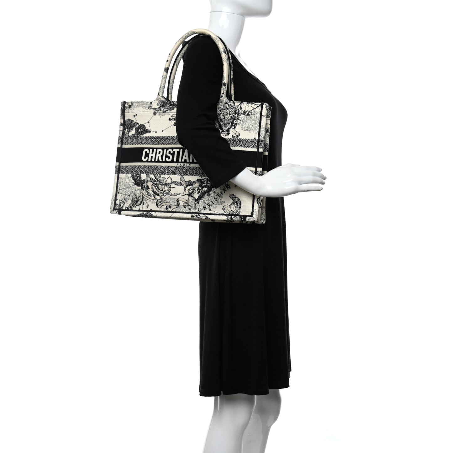 Canvas Zodiac Toile De Jouy Embroidered Medium Book Tote Latte