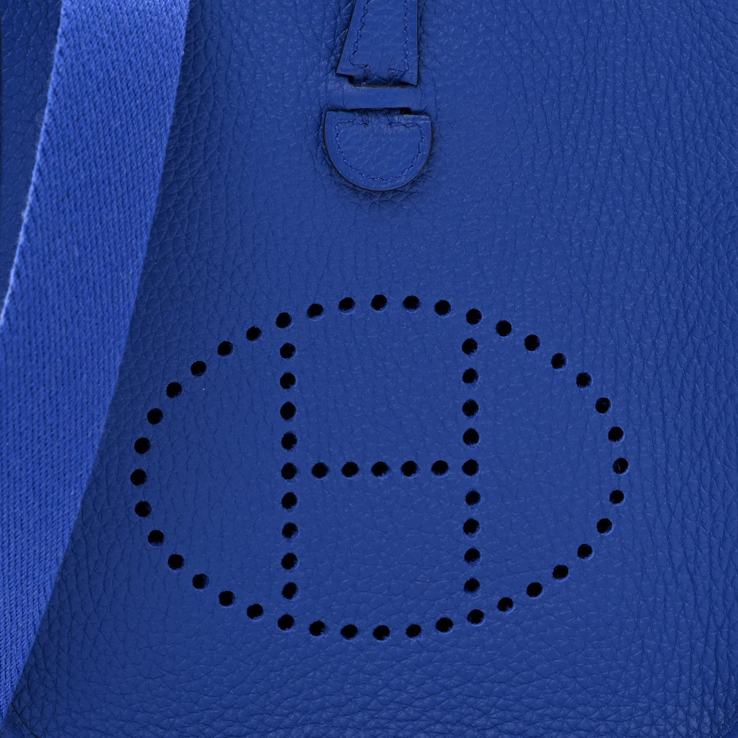 Taurillon Clemence Evelyne TPM Bleu Royal