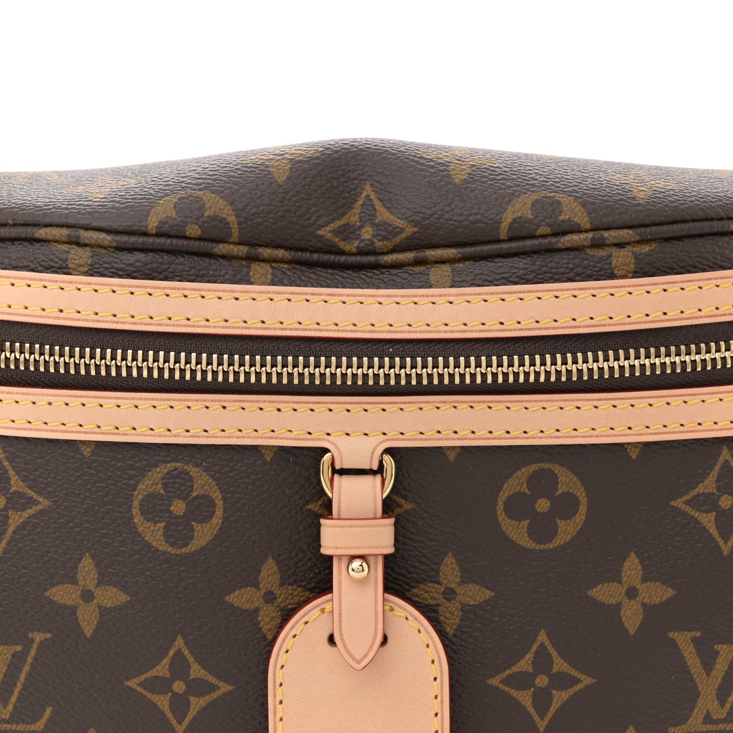 Louis Vuitton Monogram High Rise Bumbag 6 of 9