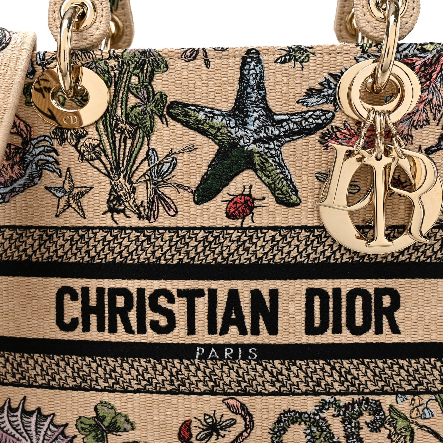 Christian Dior Canvas Cabinet De Curiosites Embroidered Medium Lady D-Lite Beige Multicolor 8 of 11