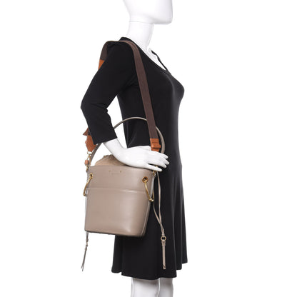 Chloe Smooth Calfskin Small Roy Bucket Bag Motty Grey 2 of 13