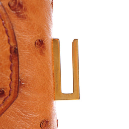 Hermes Ostrich Birkin 30 Cognac 26 of 26