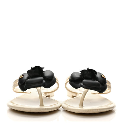 Chanel Jelly Camellia Thong Sandals 35 Ivory Black 2 of 7