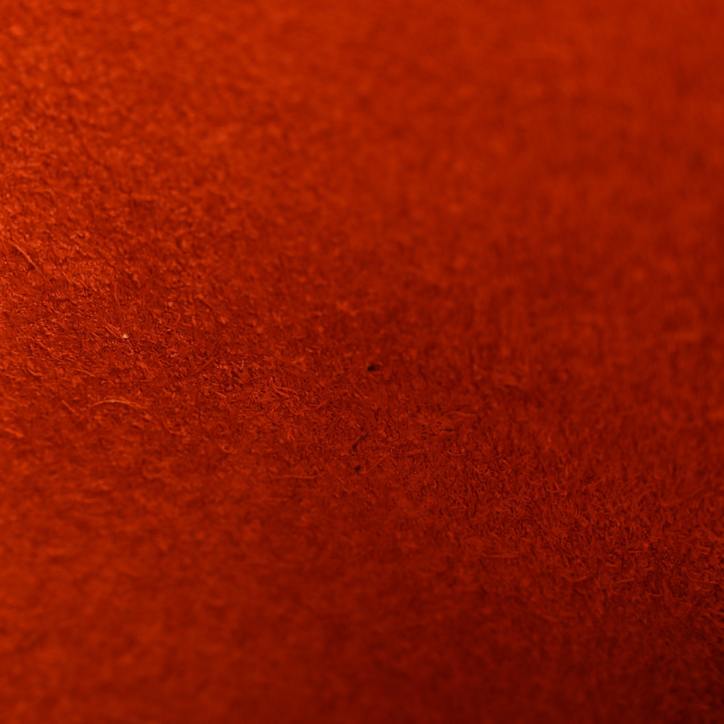 Taurillon Clemence EVELYNE III GM Orange