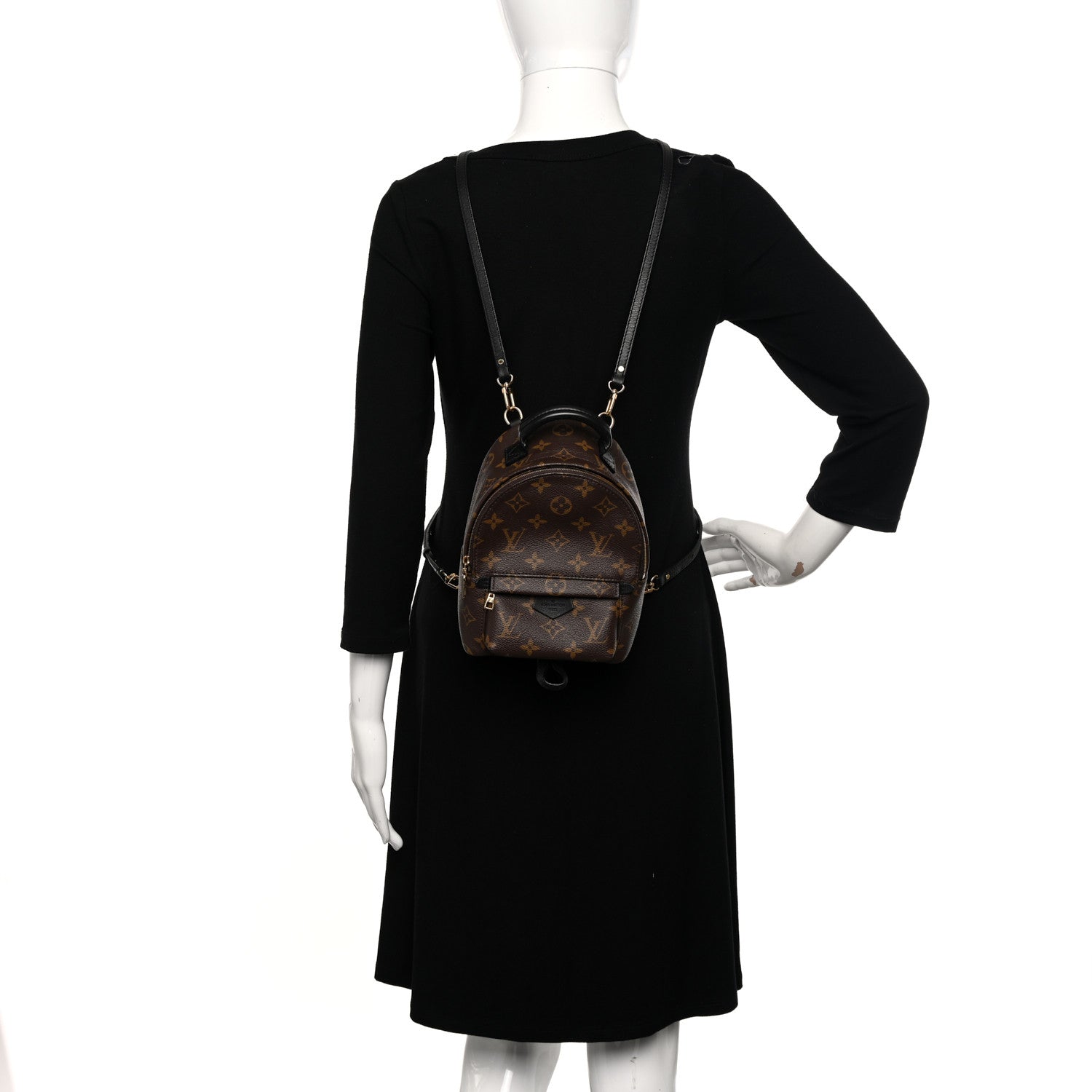Louis Vuitton Monogram Palm Springs Backpack Mini 2 of 10