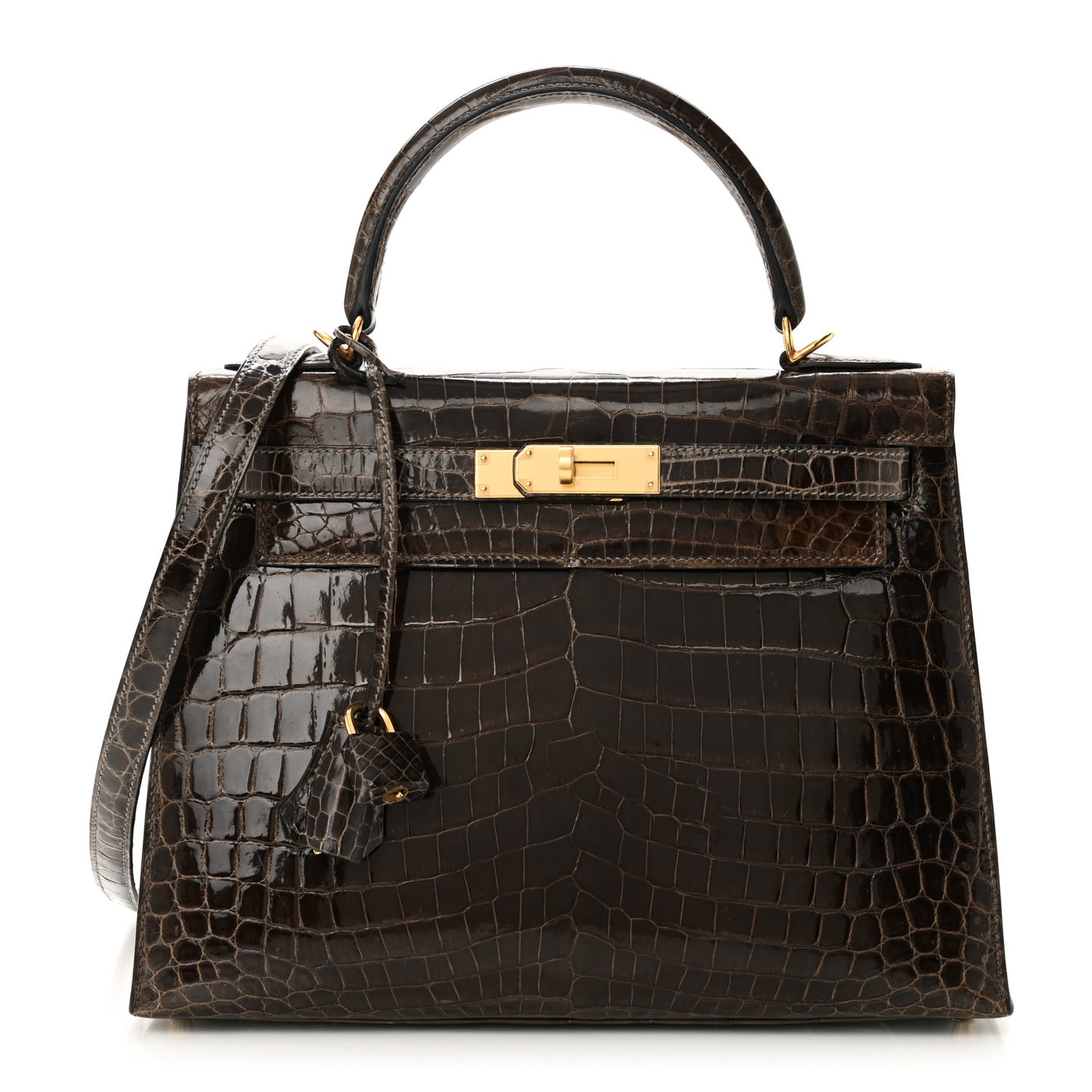 Shiny Niloticus Crocodile Kelly Sellier 28 Gris Elephant