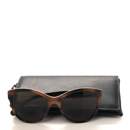 Chanel Acetate Pantos Logo Sunglasses 5458 Tortoise Brown 8 of 8