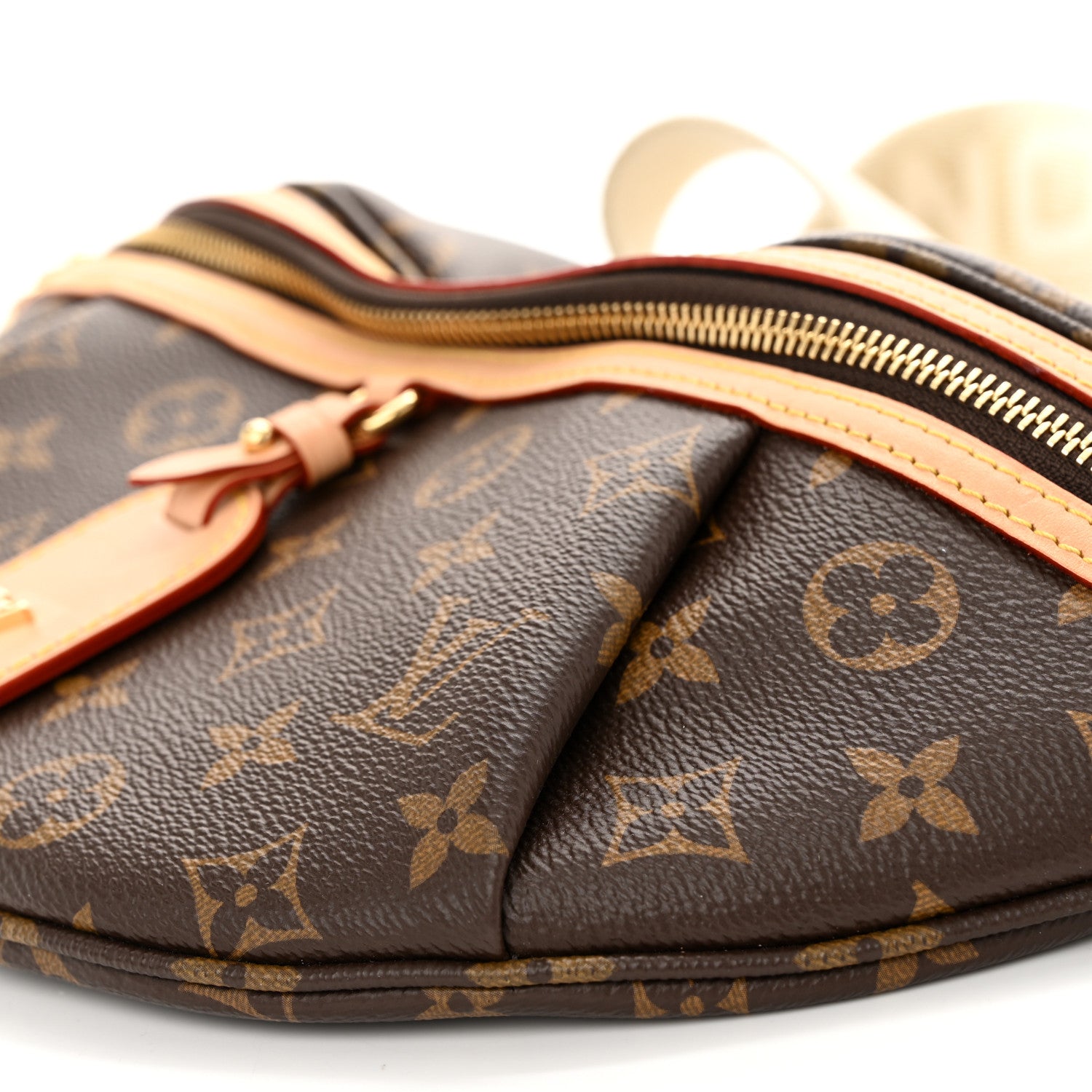 Louis Vuitton Monogram High Rise Bumbag 9 of 9