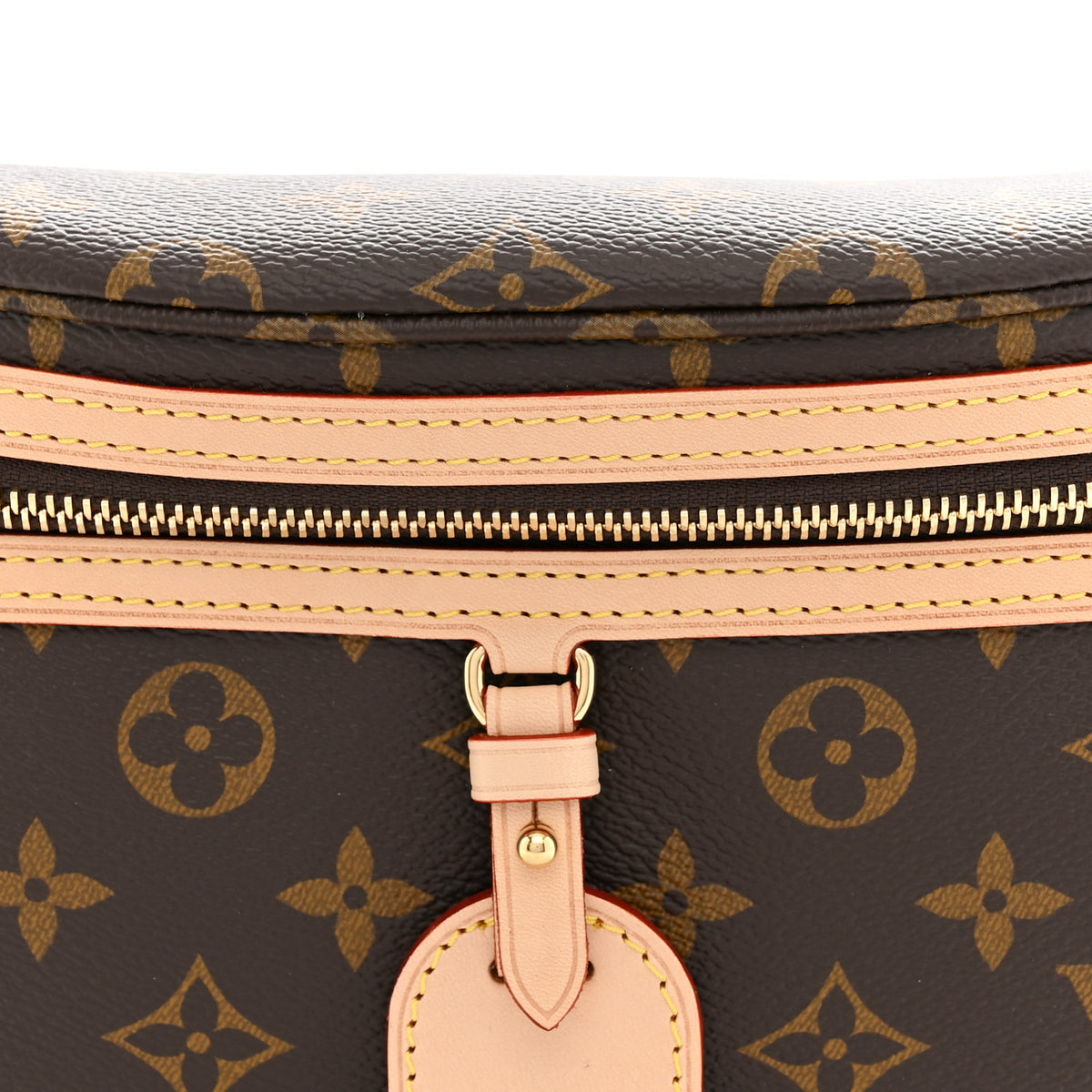 Louis Vuitton Monogram High Rise Bumbag 7 of 10