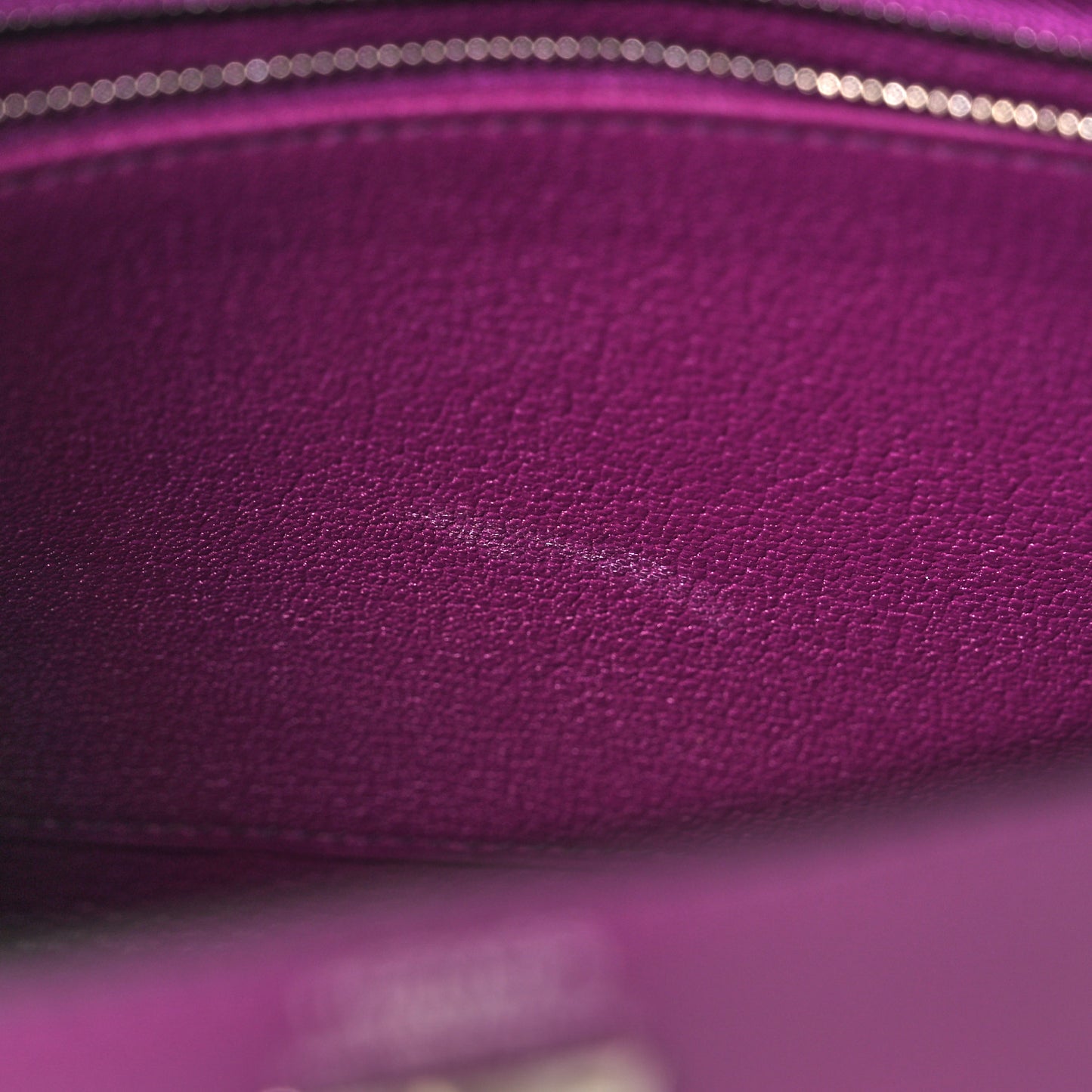 Chevre Chamkila Kelly Sellier 25 Anemone