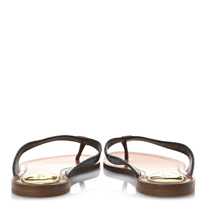 Louis Vuitton Monogram Sunny Flat Thong Sandals 39 Brown 6 of 12