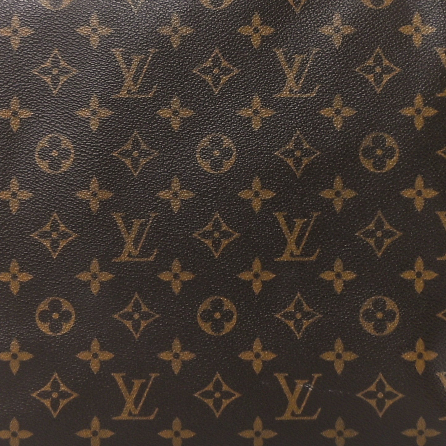 Monogram Cabas Mezzo