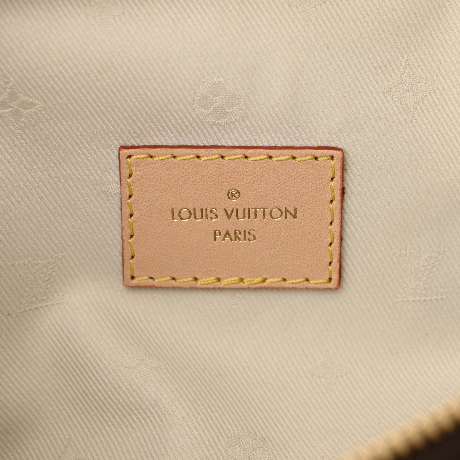 Louis Vuitton Monogram High Rise Bumbag 6 of 9