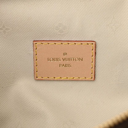 Louis Vuitton Monogram High Rise Bumbag 6 of 9