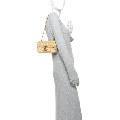 Celine Raffia Effect Claude Chain Shoulder Bag Natural 2 of 10