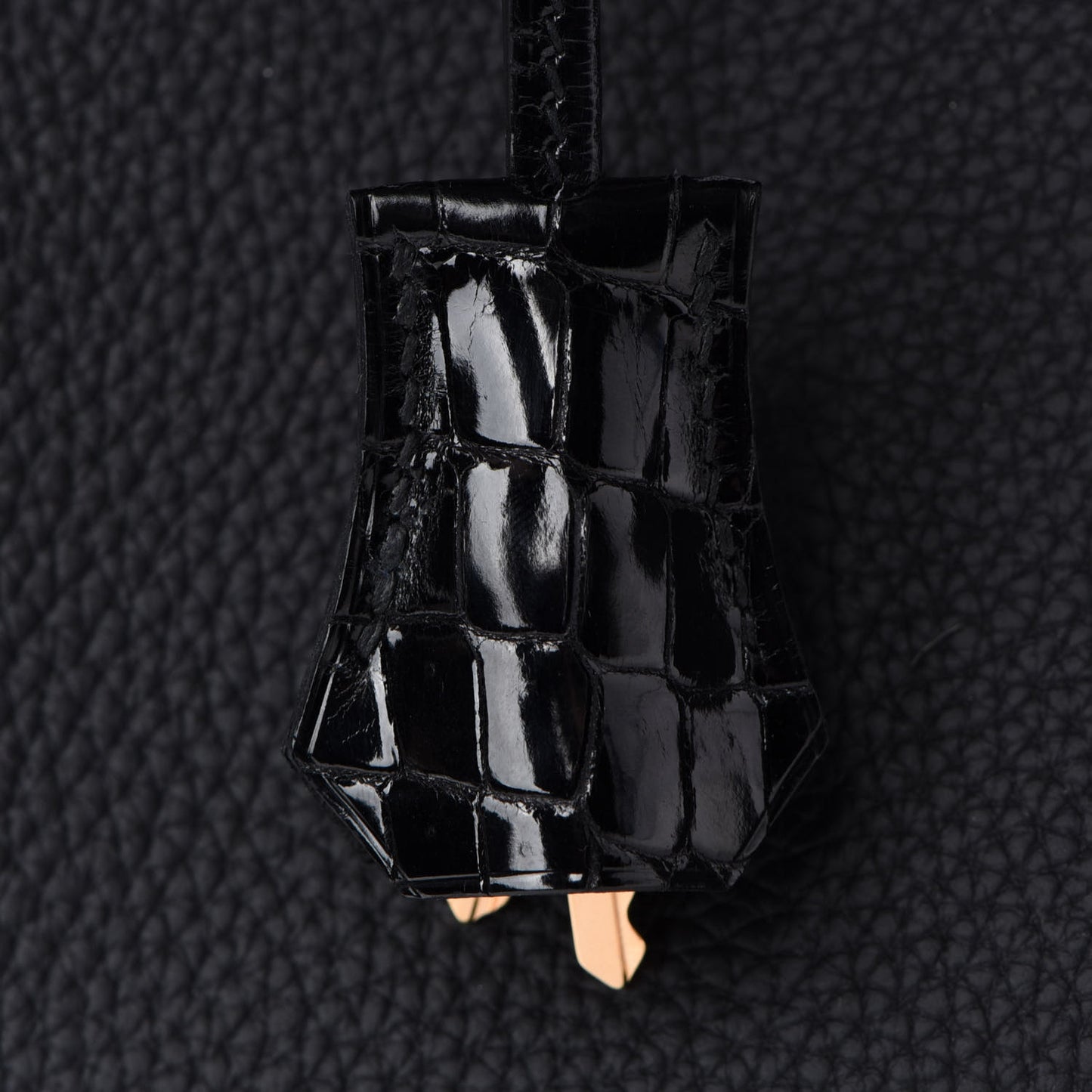 Togo Shiny Niloticus Crocodile Birkin Touch 25 Black