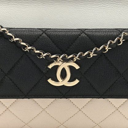 Chanel Goatskin Quilted Tri-Color Medium In & Out Camera Case Beige White Black 9 of 12