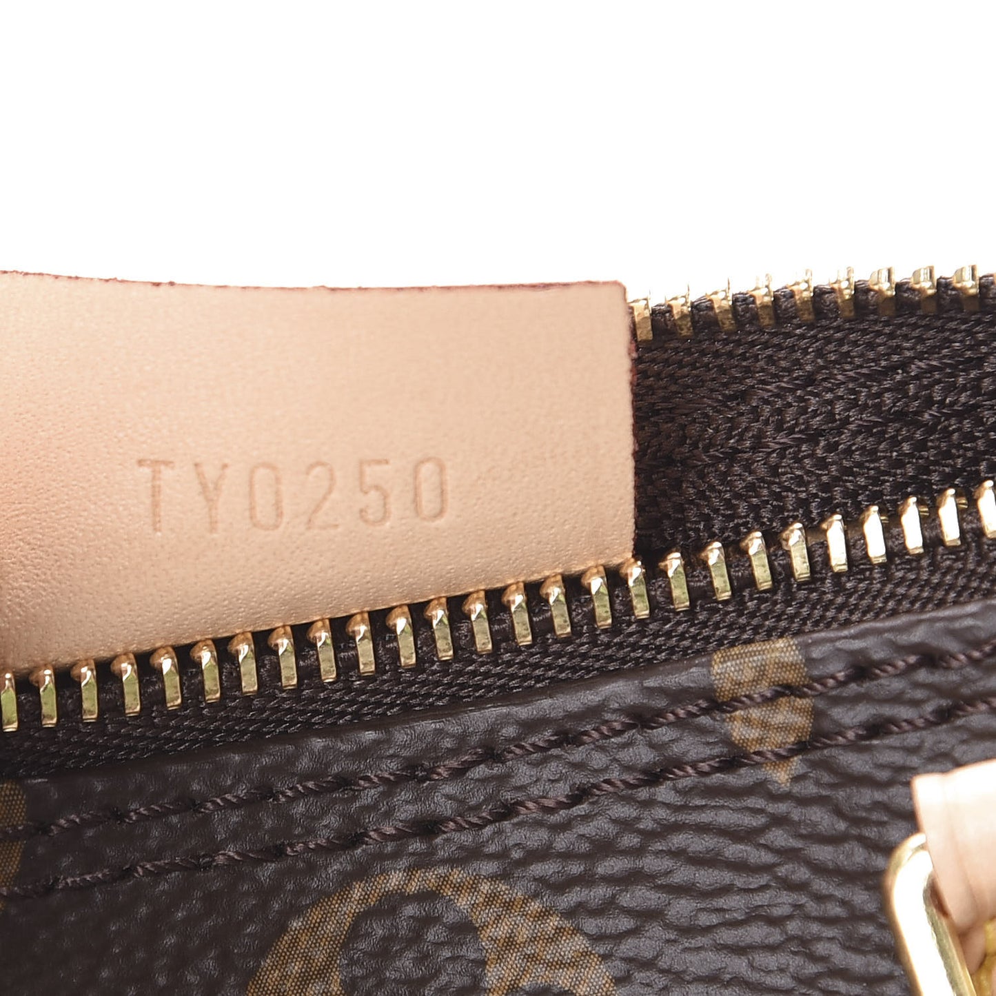 Monogram Nano Speedy