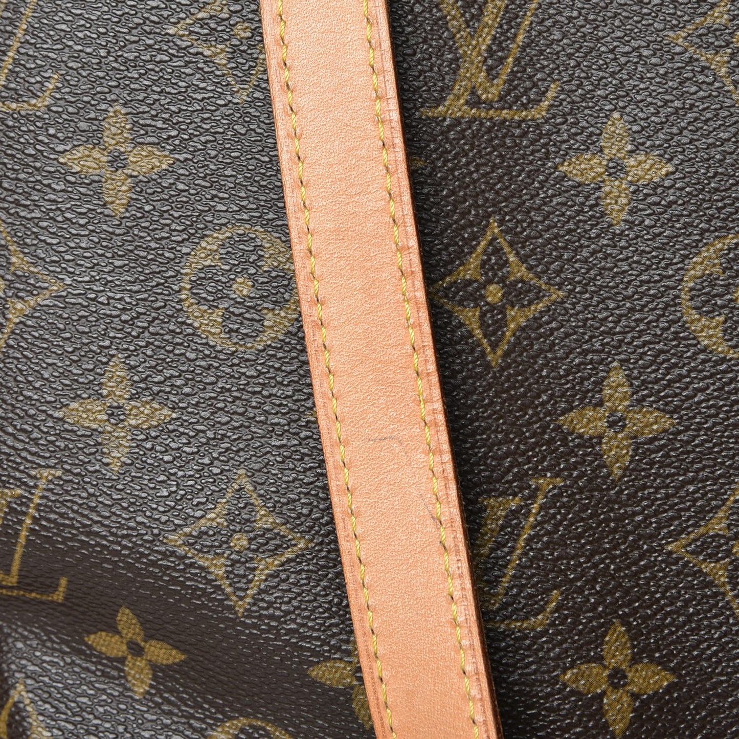 Monogram Cabas Mezzo