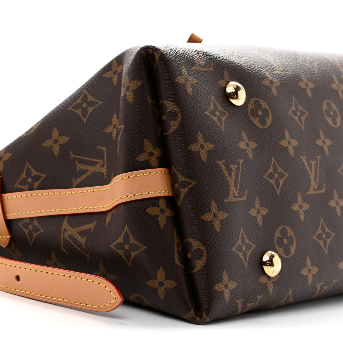 Monogram Carryall MM
