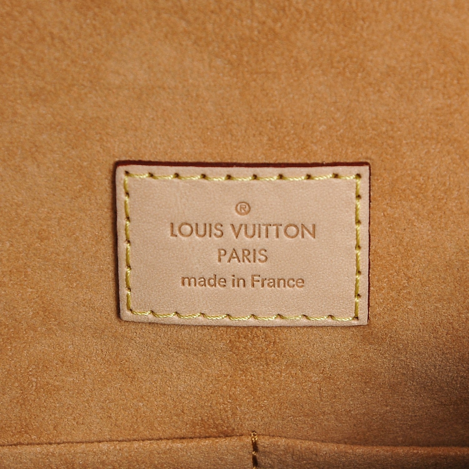 Louis Vuitton Monogram Gaia Epice 6 of 6