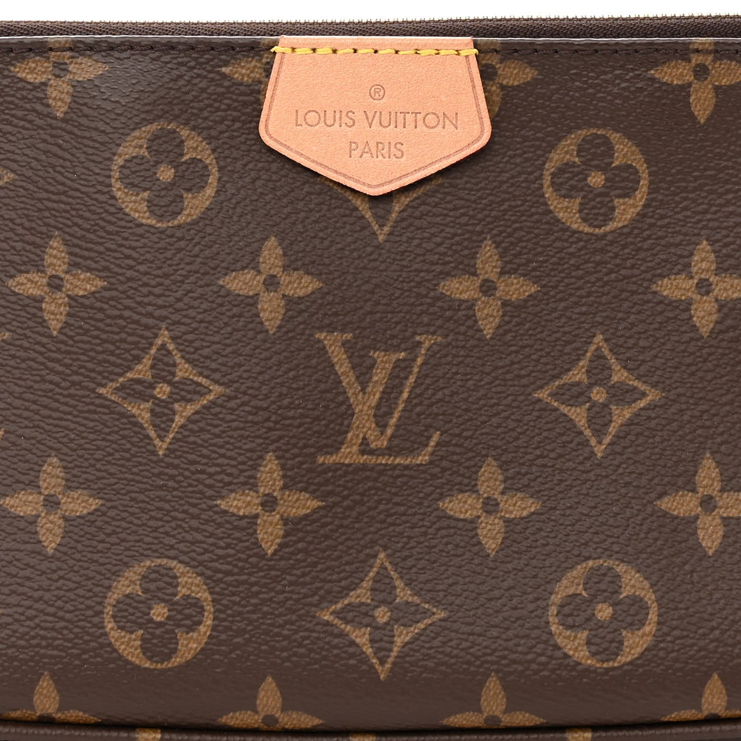 Monogram Multi Pochette Accessories Large Pochette